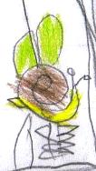 caracoles jardin