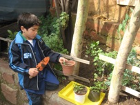 septiembreplantas