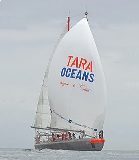 tara