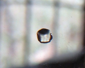 agua