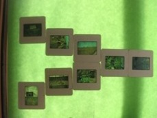 geometrias