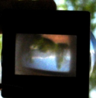 camara