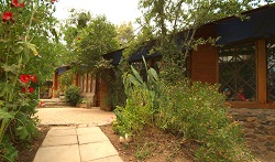 colegio