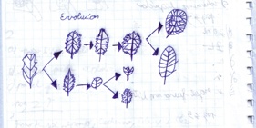 evoluci&oacute;n