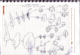 evoluci&oacute;n