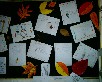 oto&ntilde;o