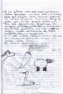 parcela