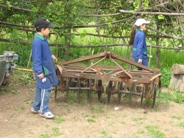 parcela
