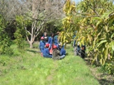 parcela