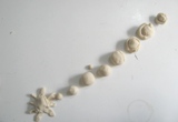 masa