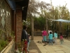 piojos_7_fog