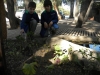TIERRA-_74_fog
