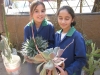 plantas_119_fog