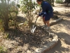 plantas_129_fog