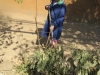 plantas_130_fog