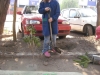 plantas_161_fog