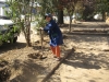 plantas_163_fog