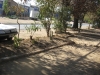 plantas_173_fog